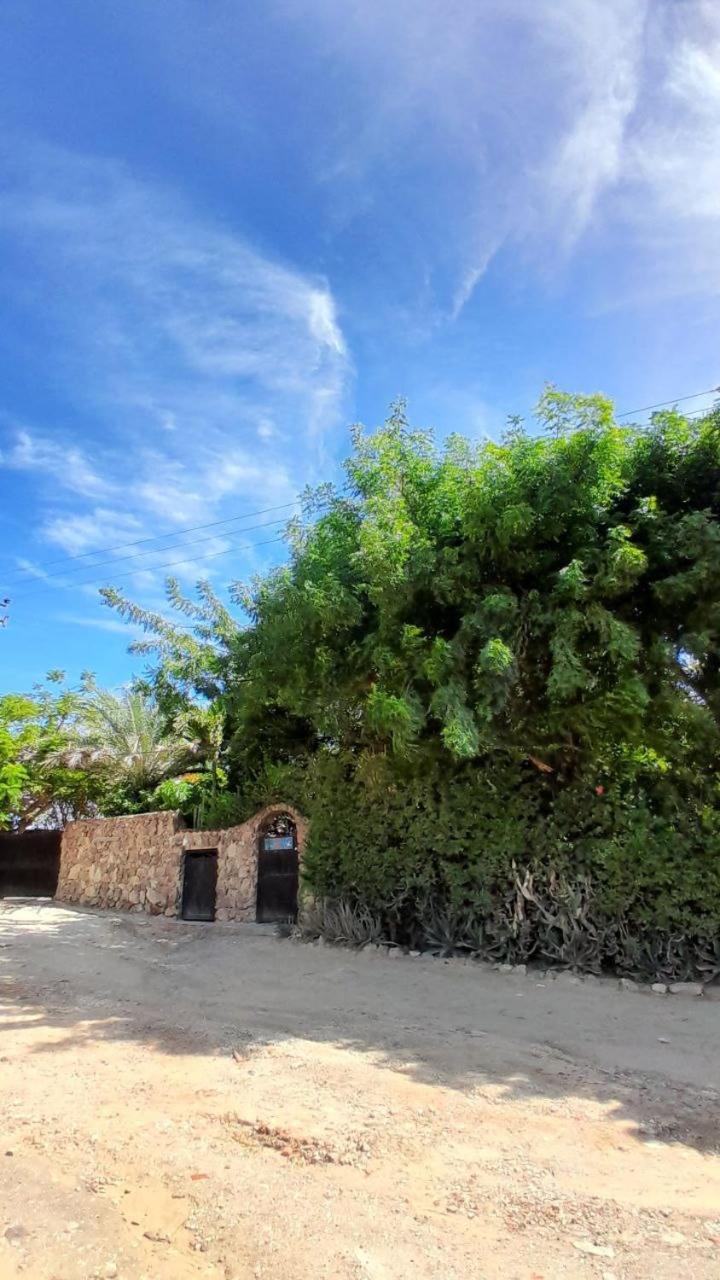 Hotel Steviewonderland Playa El Yaque Zewnętrze zdjęcie