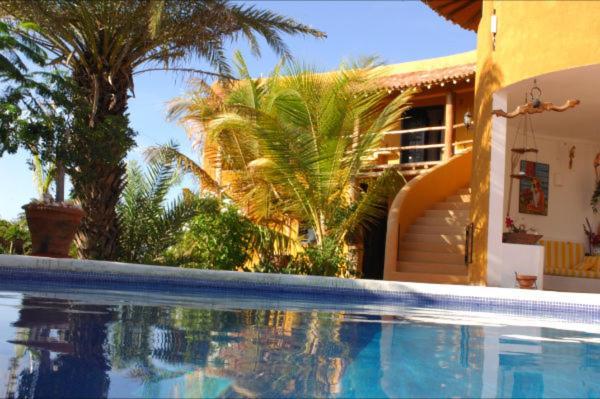 Hotel Steviewonderland Playa El Yaque Zewnętrze zdjęcie